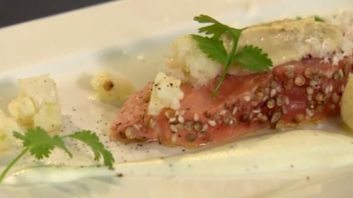 Gepekelde zalm 'mi-cuit', bloemkool, yoghurt en hummus